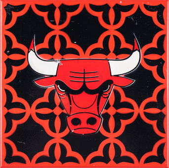 bulls avatar